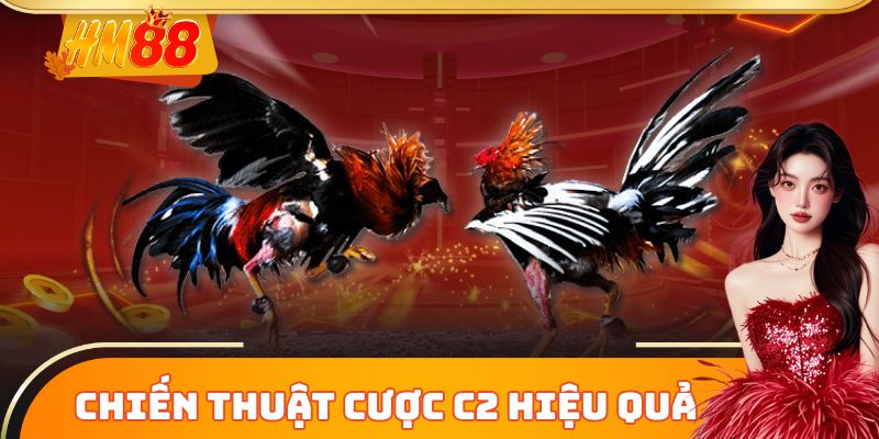 Chiến thuật vào tiền cược C2 hiệu quả