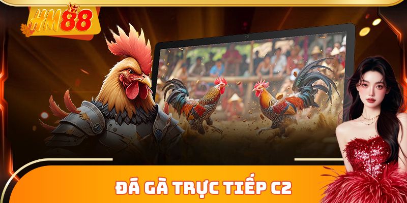 Đá Gà Trực Tiếp C2